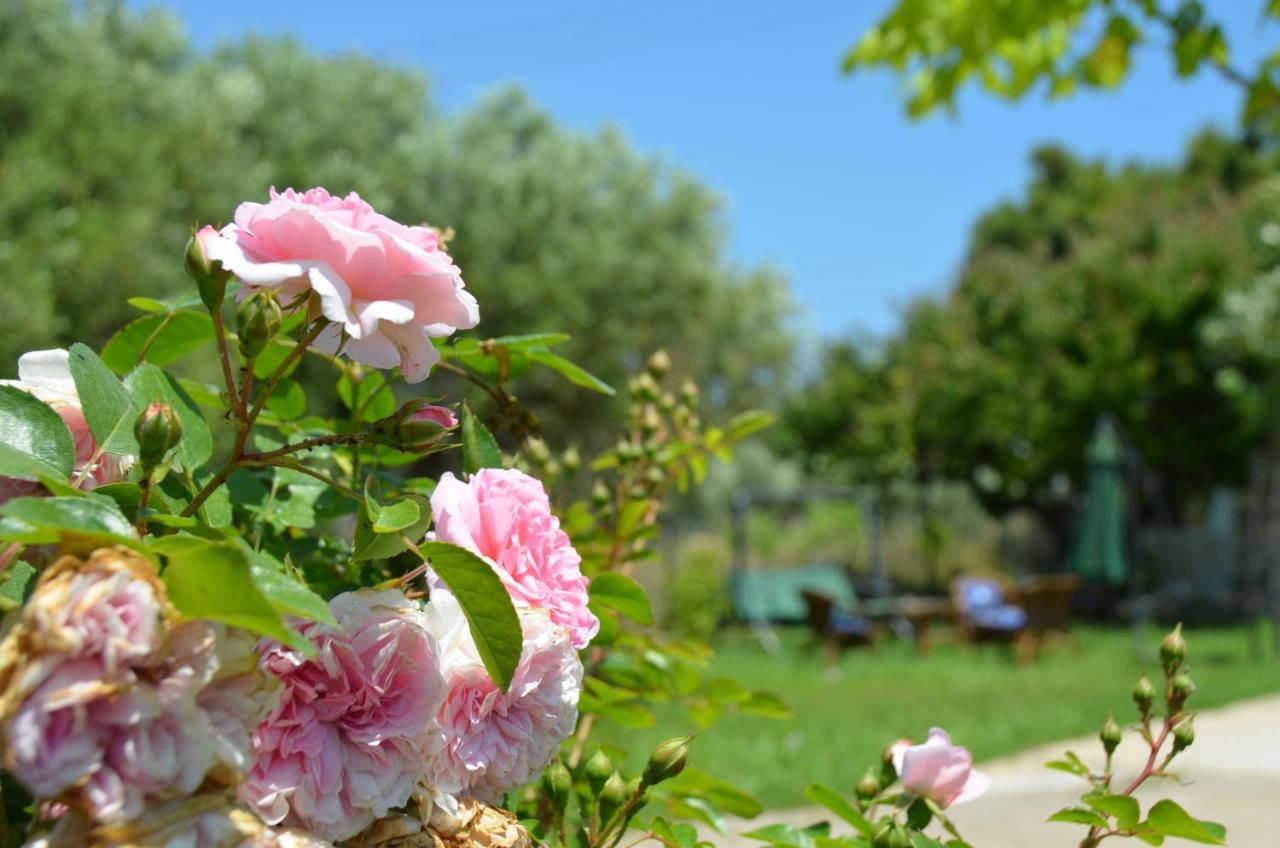 Vila Kalimera Private Pool เนอาโปติไดอา ภายนอก รูปภาพ